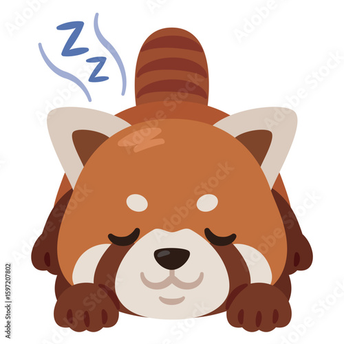うつ伏せで眠るレッサーパンダのイラスト