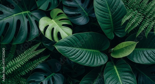 Vibrant green foliage emerges from inky darkness, showcasing nature's intricate textures in dramatic contrast. The blurred backdrop intensifies the leaves' organic shapes, creating a mystical woodland