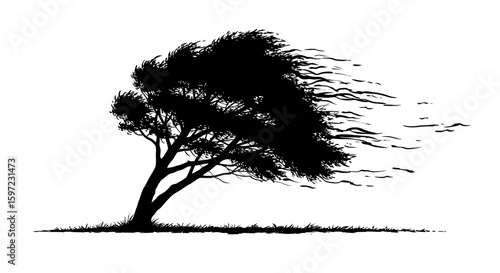 Silhouette of a Tree Bent by Strong Wind, Black and White