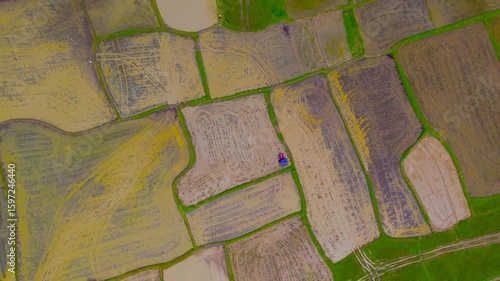 4K Drone Footage of Tractor Ploughing a Rice Field During Monsoon Farming in India - High-resolution aerial video showing a red tractor ploughing a muddy rice field during the wet farming season. 