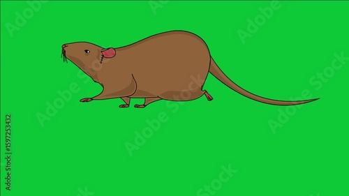 Smooth looping 2D animation of a brown rat jogging in place, drawn in a simple and clean line art style