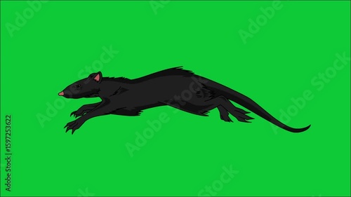 High-speed 2D looping animation of a black, furry rat running quickly, drawn in a rough, hand-sketched line art style
