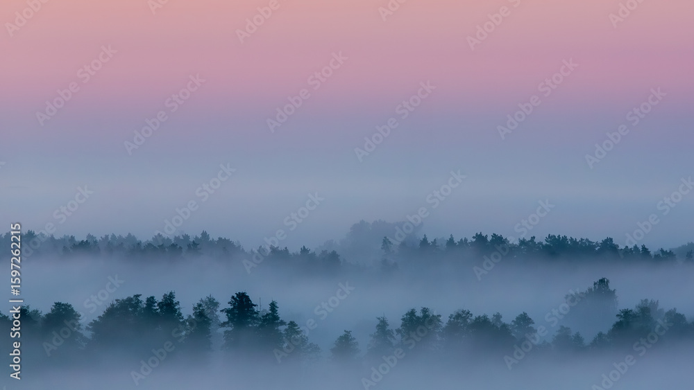 Fototapeta premium Foggy forest at dawn with pastel sky