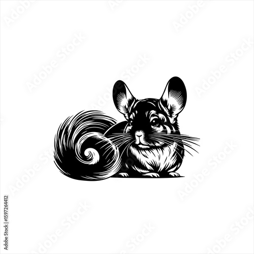 Black and White Chinchilla Illustration with Swirling Tail.