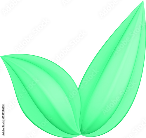 3d render of green plant leaves close up with details on a transparent isolated background