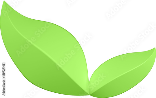 3d render of green plant leaves close up with details on a transparent isolated background