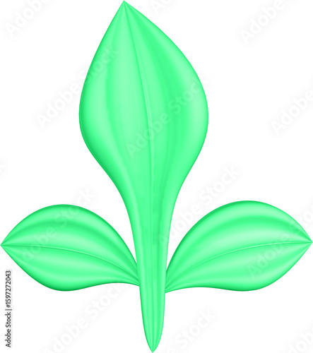 3d render of green plant leaves close up with details on a transparent isolated background