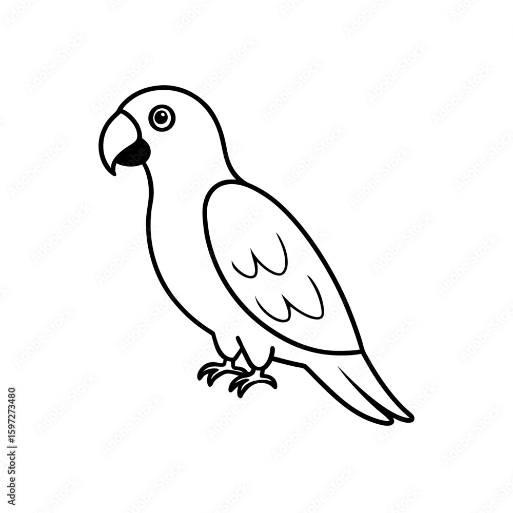 Fototapeta premium african grey parrot .svg