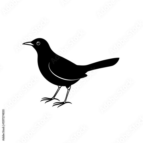 blackbird      .svg