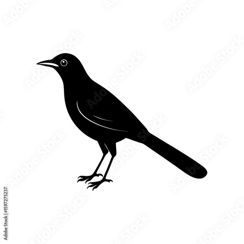 cape glossy starling        .svg
