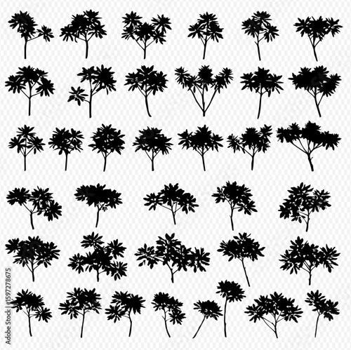 A collection of thirty-six tree silhouettes in varying shapes and sizes, arranged in rows on a transparent background.