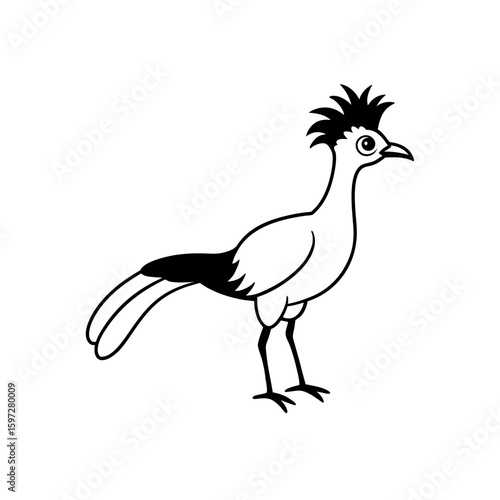 hoatzin  amazon rainforest    .svg