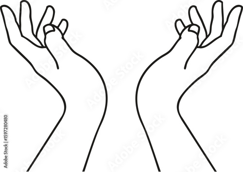 hands vector illustration