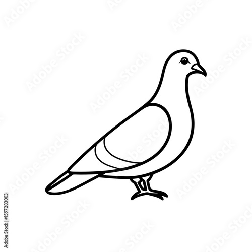 pigeon head   .svg
