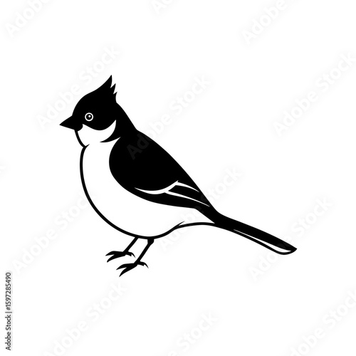 titmouse  