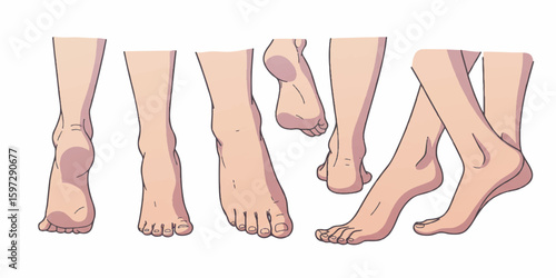Elegant Women’s Feet Vector – Minimal and Clean Design