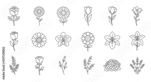 Elegant floral outline illustration featuring roses, tulips, and various flower arrangements