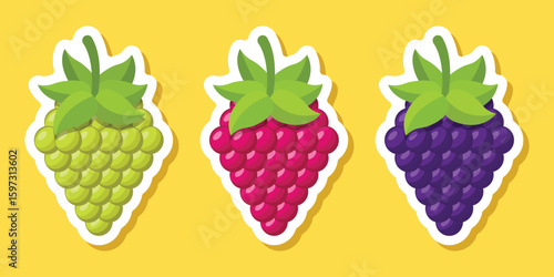 Grape, blueberry, raspberry sticker fruit icon set collection in flat style. Berry vector illustration on isolated background. Nature snack sign business concept.