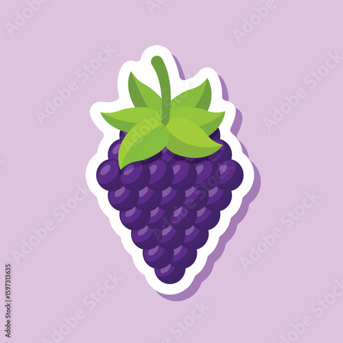Blackberry fruit sticker icon in flat style. Grape berry vector illustration on isolated background. Nature snack sign business concept.