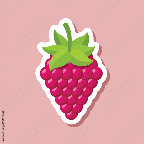Raspberry fruit sticker icon in flat style. Raspberries berry vector illustration on isolated background. Nature snack sign business concept.