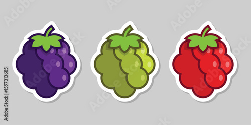 Grape, blueberry, raspberry sticker fruit icon set collection in flat style. Berry vector illustration on isolated background. Nature snack sign business concept.