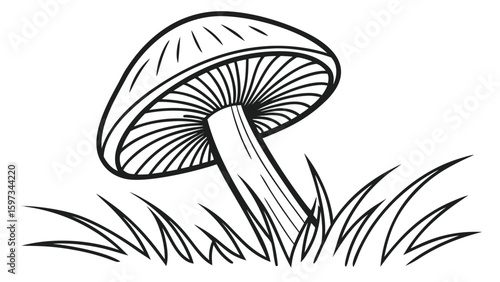 Black Line Art Mushroom in Grass White Background fungus 1
