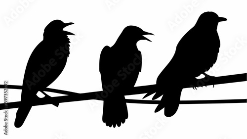 Three crows perched on a branch in silhouette against a white background creating a stark contrast image | editable eps vectors