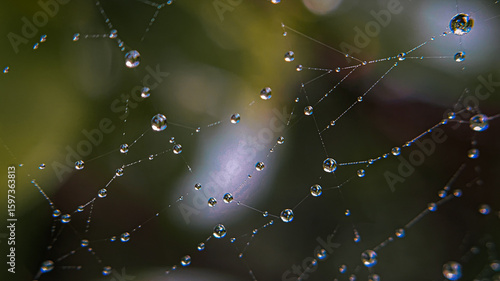 Fotografie Detailed spider web with water drops after rain, shot close up on macro, natural phenomena in nature are visible on a blurred background