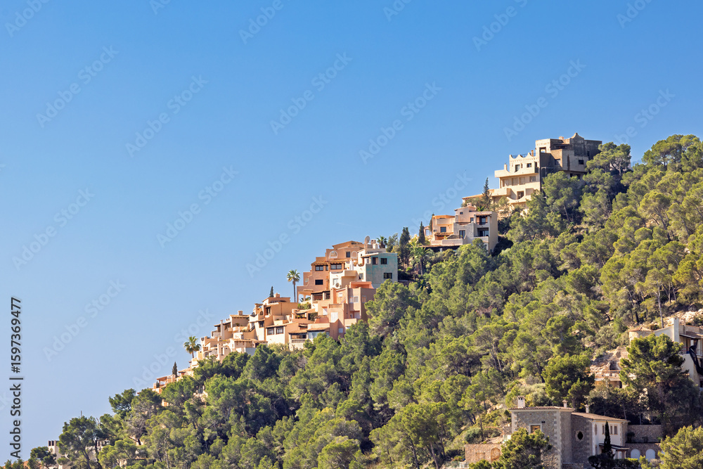 Fototapeta premium Lush green trees on a slope with houses a sunny summer day