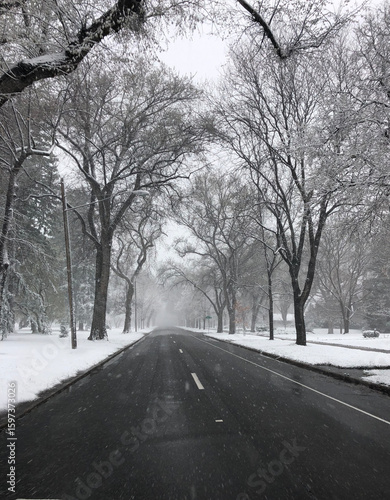winter road scene