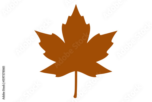 single sycamore leaf silhouette in burnt amber