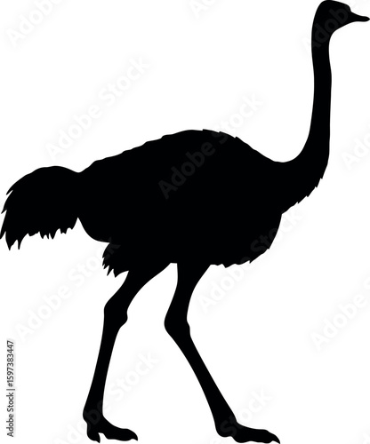 Ostrich silhouette elegant bird profile