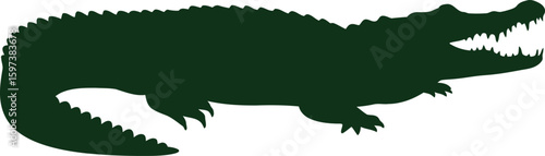 Green alligator silhouette isolated on white