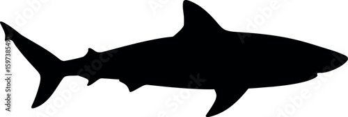 Shark silhouette ocean predator marine life