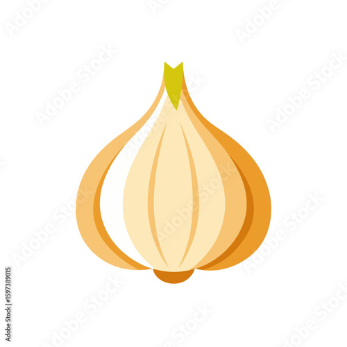 cartoon garlic bulb with cloves  vector style  
