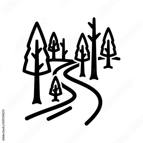 Path winding through a forest of tall pine trees