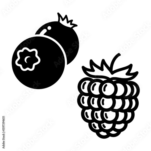 Black outline berries and raspberry cluster on white background