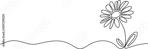 Minimalist Daisy Flower Single Line Drawing on White Background