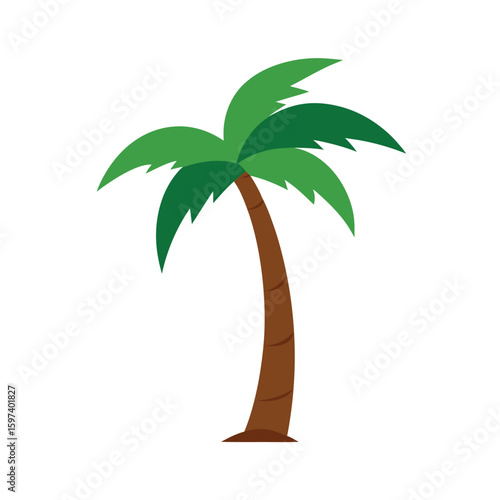 long lean palm tree 