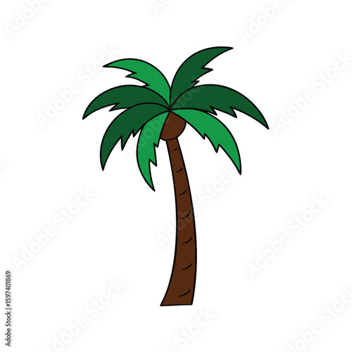 long lean palm tree