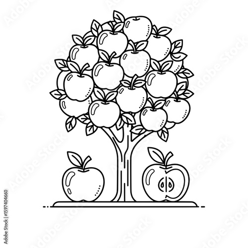 Apple tree with ripe fruit and leaves in outline style