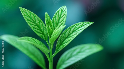 Close up of a vibrant green plant stem with textured leaves soft focus background