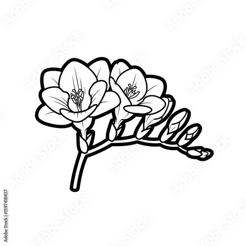 Outline flowers with stems and leaves for floral design