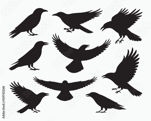bird silhouette vector illustration, perfect for logo design, art projects, and graphic design. Diverse positions, flying, perching