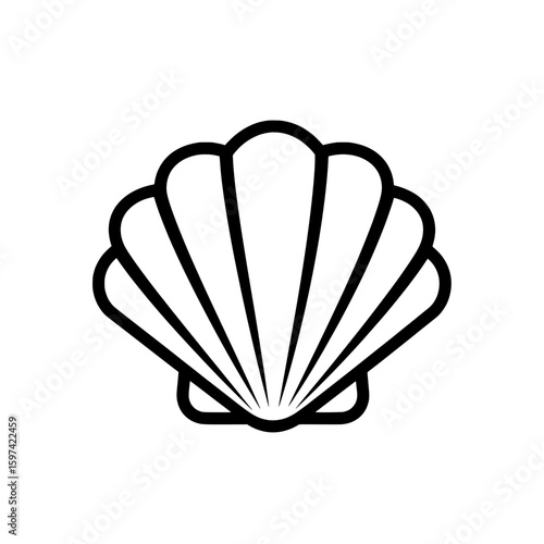 Sea shell outline with curved lines and details