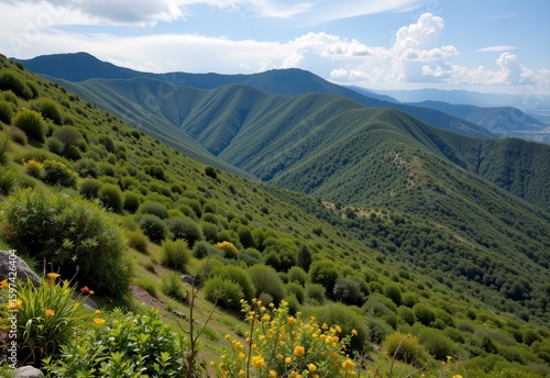 lush vegetation on windward side of hills due to increased rain dry scrubland on opposite slope weather effect
