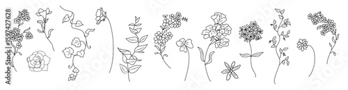 Set of tiny wildflowers and plant line art including Forget Me Not. Hand-drawn botanical ink sketches for logos, tattoos, wall art, branding, packaging. Isolated on transparent background.