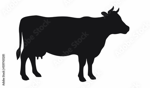 A black silhouette of a dairy cow standing calmly isolated on white background silhouette