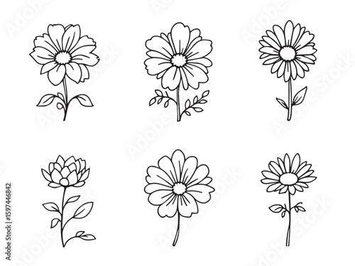 aster flower line art design