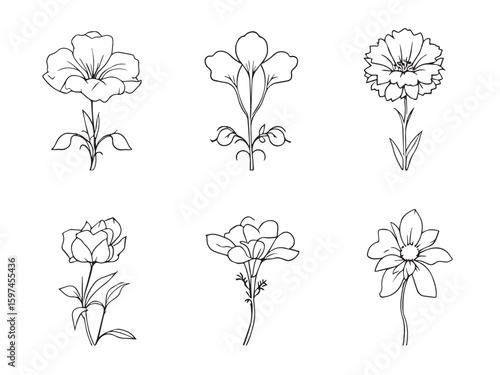 bellflower hand drawn design
